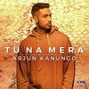 Tu Na Mera - Arjun Kanungo